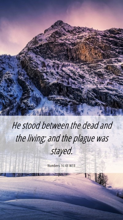 Picture 06 - Numbers 16:48 WEB Mobile Phone Wallpaper - He stood between the dead and the living; and the - Mobile Bible Verse Wallpaper