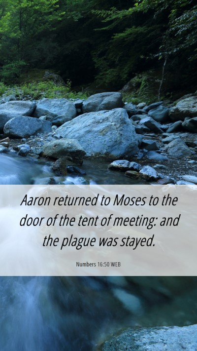 Picture 06 - Numbers 16:50 WEB Mobile Phone Wallpaper - Aaron returned to Moses to the door of the tent - Mobile Bible Verse Wallpaper