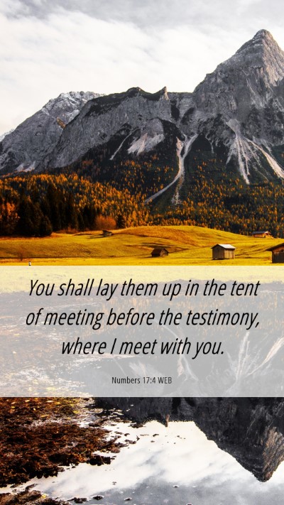 Picture 06 - Numbers 17:4 WEB Mobile Phone Wallpaper - You shall lay them up in the tent of meeting - Mobile Bible Verse Wallpaper