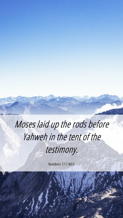 Picture 06 - Numbers 17:7 WEB Mobile Phone Wallpaper - Moses laid up the rods before Yahweh in the tent - Mobile Bible Verse Wallpaper