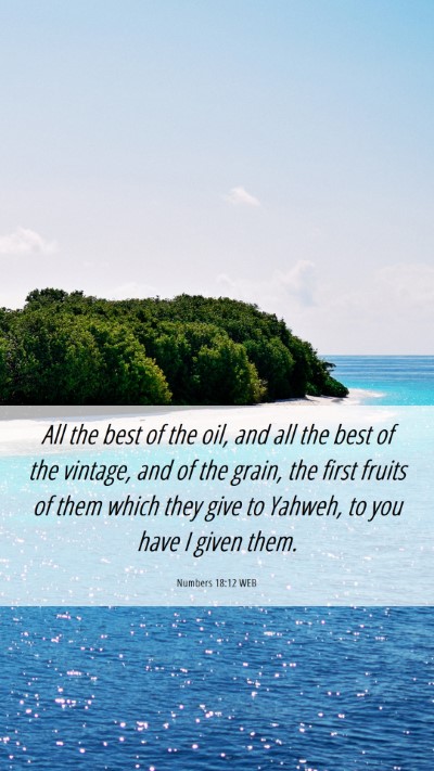 Picture 06 - Numbers 18:12 WEB Mobile Phone Wallpaper - All the best of the oil, and all the best of the - Mobile Bible Verse Wallpaper