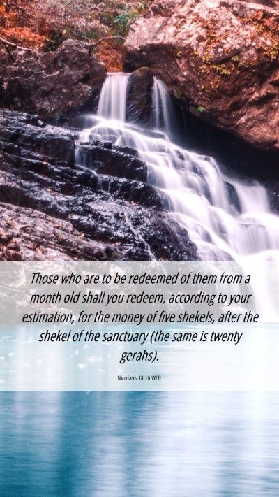 Picture 06 - Numbers 18:16 WEB Mobile Phone Wallpaper - Those who are to be redeemed of them from a month - Mobile Bible Verse Wallpaper