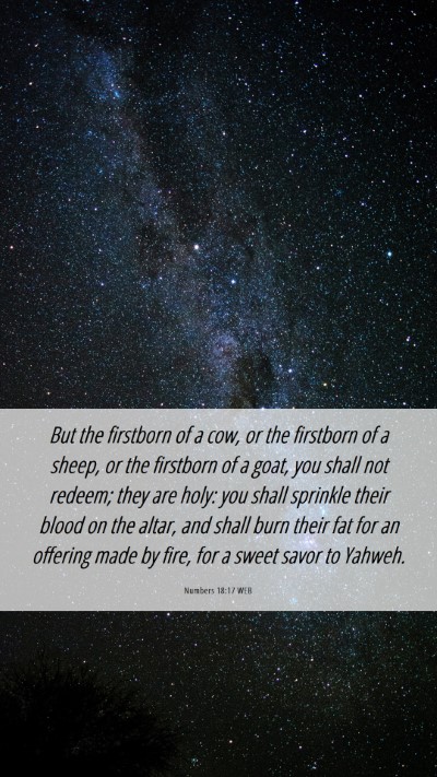 Picture 06 - Numbers 18:17 WEB Mobile Phone Wallpaper - But the firstborn of a cow, or the firstborn of a - Mobile Bible Verse Wallpaper