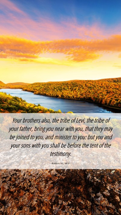 Picture 06 - Numbers 18:2 WEB Mobile Phone Wallpaper - Your brothers also, the tribe of Levi, the tribe - Mobile Bible Verse Wallpaper