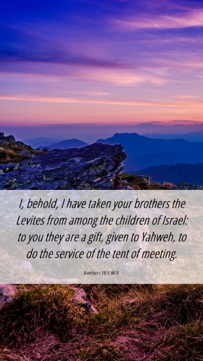 Picture 06 - Numbers 18:6 WEB Mobile Phone Wallpaper - I, behold, I have taken your brothers the Levites - Mobile Bible Verse Wallpaper