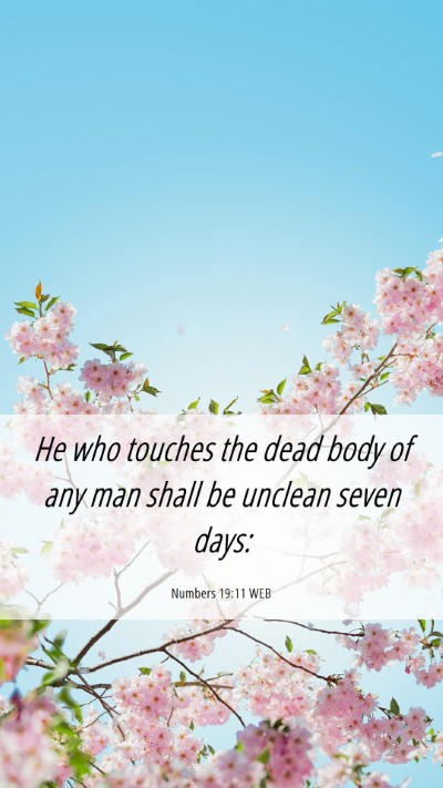 Picture 06 - Numbers 19:11 WEB Mobile Phone Wallpaper - He who touches the dead body of any man shall be - Mobile Bible Verse Wallpaper