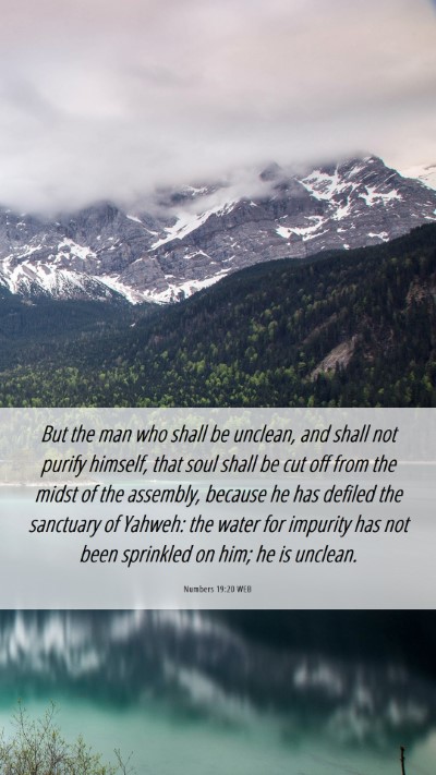Picture 06 - Numbers 19:20 WEB Mobile Phone Wallpaper - But the man who shall be unclean, and shall not - Mobile Bible Verse Wallpaper
