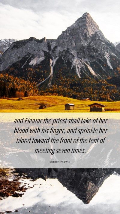 Picture 06 - Numbers 19:4 WEB Mobile Phone Wallpaper - and Eleazar the priest shall take of her blood - Mobile Bible Verse Wallpaper