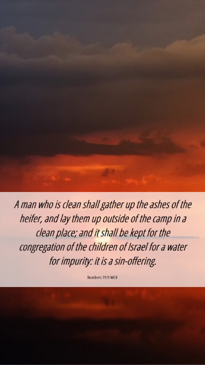 Picture 06 - Numbers 19:9 WEB Mobile Phone Wallpaper - A man who is clean shall gather up the ashes of - Mobile Bible Verse Wallpaper