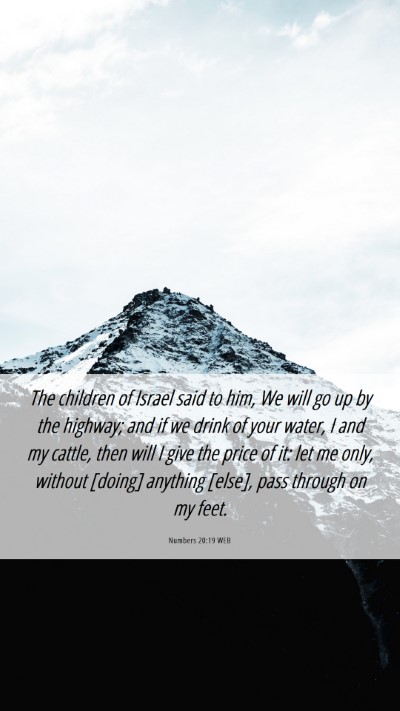 Picture 06 - Numbers 20:19 WEB Mobile Phone Wallpaper - The children of Israel said to him, We will go up - Mobile Bible Verse Wallpaper