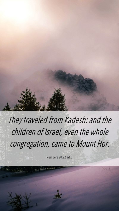 Picture 06 - Numbers 20:22 WEB Mobile Phone Wallpaper - They traveled from Kadesh: and the children of - Mobile Bible Verse Wallpaper