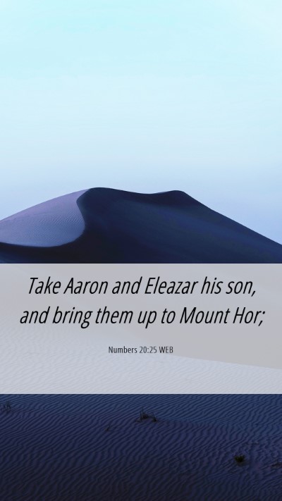 Picture 06 - Numbers 20:25 WEB Mobile Phone Wallpaper - Take Aaron and Eleazar his son, and bring them up - Mobile Bible Verse Wallpaper