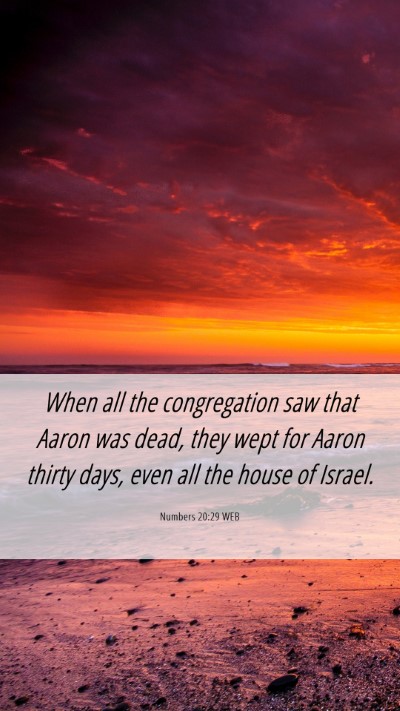 Picture 06 - Numbers 20:29 WEB Mobile Phone Wallpaper - When all the congregation saw that Aaron was - Mobile Bible Verse Wallpaper