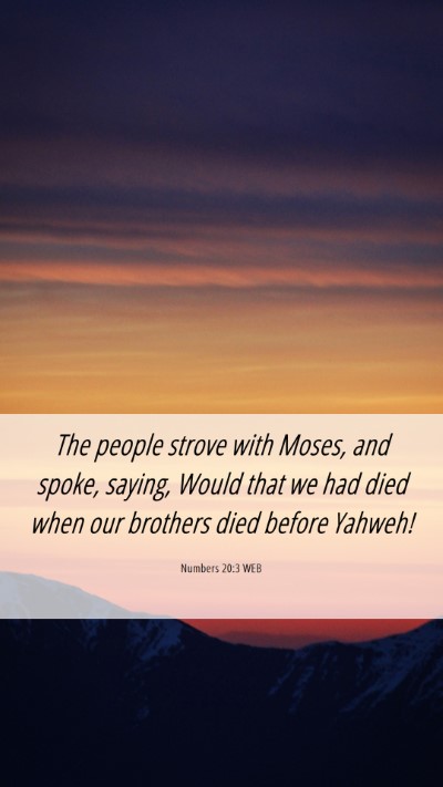 Picture 06 - Numbers 20:3 WEB Mobile Phone Wallpaper - The people strove with Moses, and spoke, saying, - Mobile Bible Verse Wallpaper