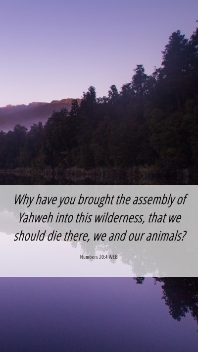 Picture 06 - Numbers 20:4 WEB Mobile Phone Wallpaper - Why have you brought the assembly of Yahweh into - Mobile Bible Verse Wallpaper