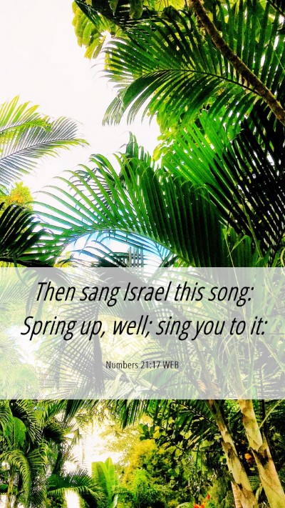 Picture 06 - Numbers 21:17 WEB Mobile Phone Wallpaper - Then sang Israel this song: Spring up, well; sing - Mobile Bible Verse Wallpaper