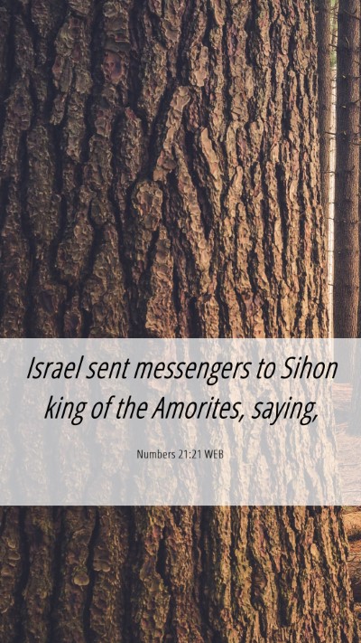 Picture 06 - Numbers 21:21 WEB Mobile Phone Wallpaper - Israel sent messengers to Sihon king of the - Mobile Bible Verse Wallpaper