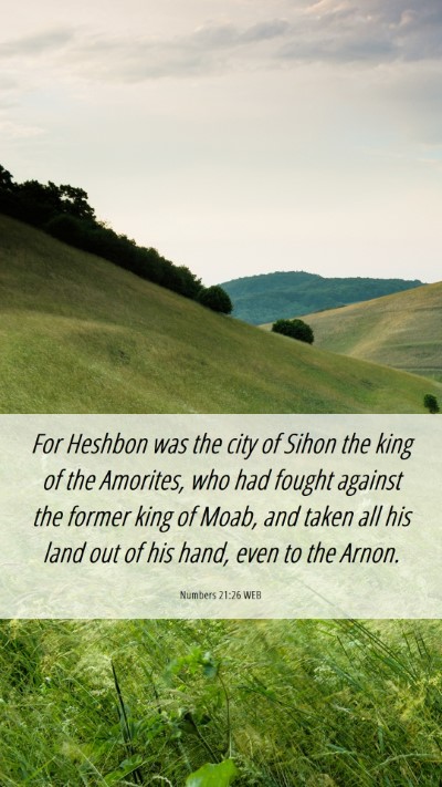 Picture 06 - Numbers 21:26 WEB Mobile Phone Wallpaper - For Heshbon was the city of Sihon the king of the - Mobile Bible Verse Wallpaper