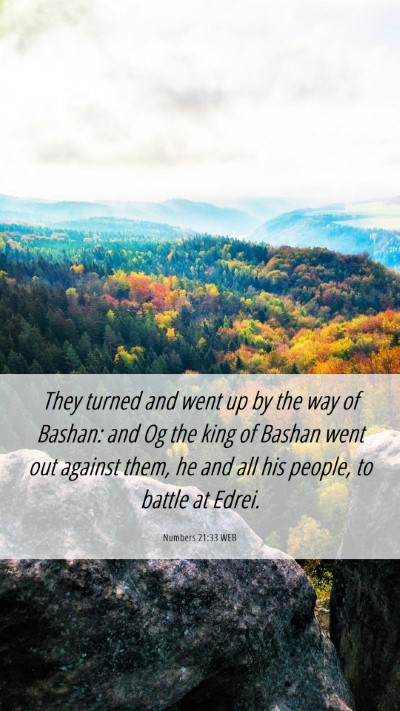 Picture 06 - Numbers 21:33 WEB Mobile Phone Wallpaper - They turned and went up by the way of Bashan: and - Mobile Bible Verse Wallpaper