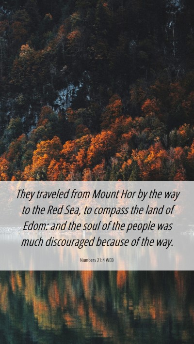 Picture 06 - Numbers 21:4 WEB Mobile Phone Wallpaper - They traveled from Mount Hor by the way to the - Mobile Bible Verse Wallpaper