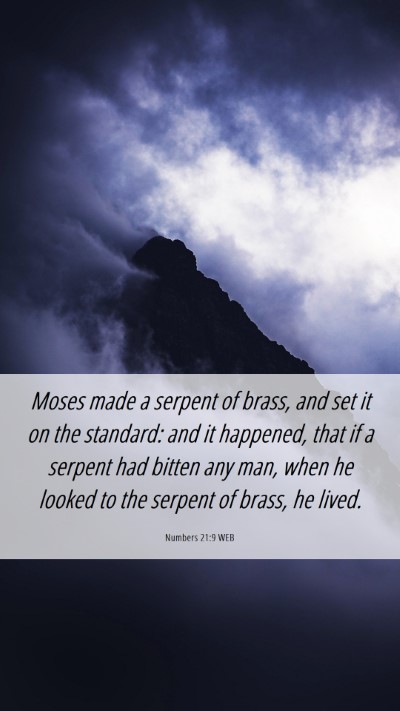 Picture 06 - Numbers 21:9 WEB Mobile Phone Wallpaper - Moses made a serpent of brass, and set it on the - Mobile Bible Verse Wallpaper