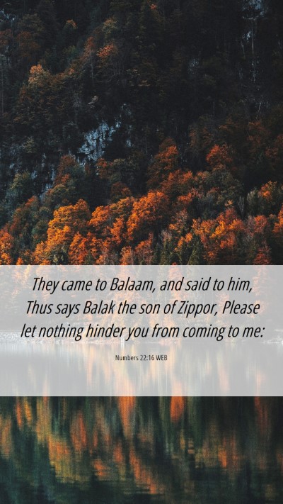 Picture 06 - Numbers 22:16 WEB Mobile Phone Wallpaper - They came to Balaam, and said to him, Thus says - Mobile Bible Verse Wallpaper