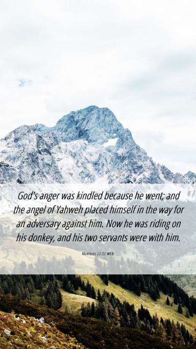 Picture 06 - Numbers 22:22 WEB Mobile Phone Wallpaper - God's anger was kindled because he went; and the - Mobile Bible Verse Wallpaper