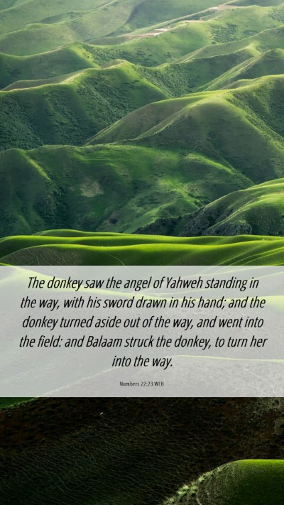 Picture 06 - Numbers 22:23 WEB Mobile Phone Wallpaper - The donkey saw the angel of Yahweh standing in - Mobile Bible Verse Wallpaper