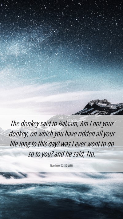 Picture 06 - Numbers 22:30 WEB Mobile Phone Wallpaper - The donkey said to Balaam, Am I not your donkey, - Mobile Bible Verse Wallpaper