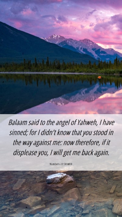 Picture 06 - Numbers 22:34 WEB Mobile Phone Wallpaper - Balaam said to the angel of Yahweh, I have - Mobile Bible Verse Wallpaper