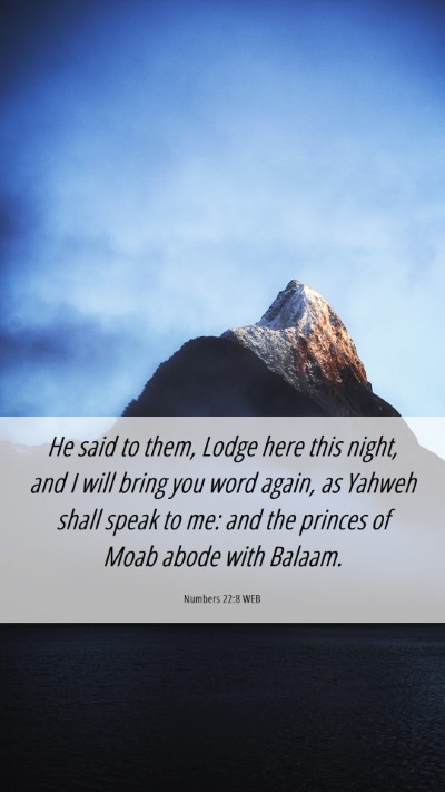 Picture 06 - Numbers 22:8 WEB Mobile Phone Wallpaper - He said to them, Lodge here this night, and I - Mobile Bible Verse Wallpaper