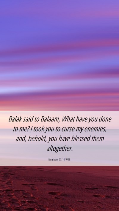 Picture 06 - Numbers 23:11 WEB Mobile Phone Wallpaper - Balak said to Balaam, What have you done to me? I - Mobile Bible Verse Wallpaper
