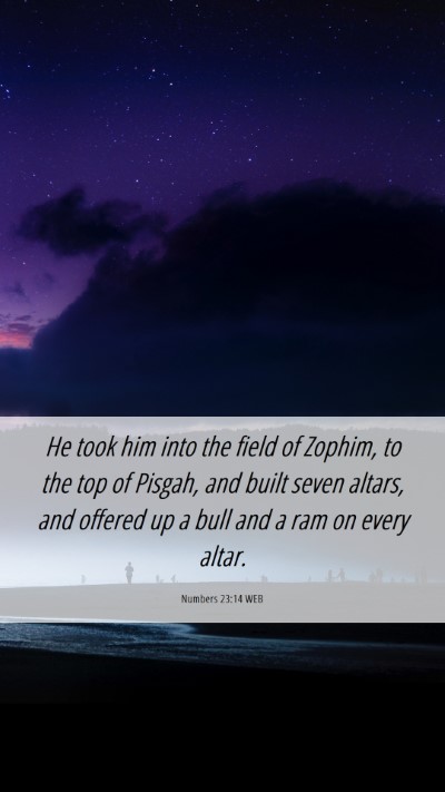 Picture 06 - Numbers 23:14 WEB Mobile Phone Wallpaper - He took him into the field of Zophim, to the top - Mobile Bible Verse Wallpaper
