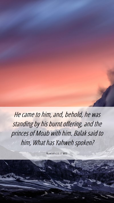 Picture 06 - Numbers 23:17 WEB Mobile Phone Wallpaper - He came to him, and, behold, he was standing by - Mobile Bible Verse Wallpaper