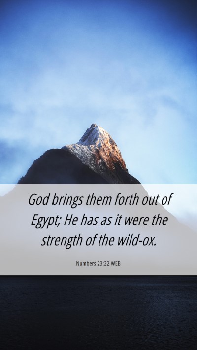 Picture 06 - Numbers 23:22 WEB Mobile Phone Wallpaper - God brings them forth out of Egypt; He has as it - Mobile Bible Verse Wallpaper