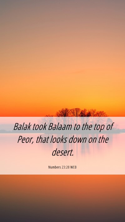 Picture 06 - Numbers 23:28 WEB Mobile Phone Wallpaper - Balak took Balaam to the top of Peor, that looks - Mobile Bible Verse Wallpaper
