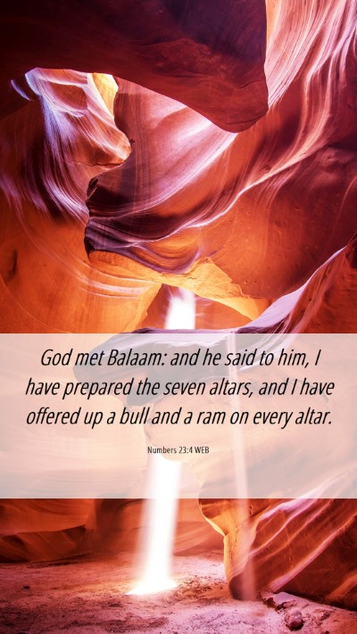 Picture 06 - Numbers 23:4 WEB Mobile Phone Wallpaper - God met Balaam: and he said to him, I have - Mobile Bible Verse Wallpaper
