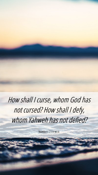 Picture 06 - Numbers 23:8 WEB Mobile Phone Wallpaper - How shall I curse, whom God has not cursed? How - Mobile Bible Verse Wallpaper