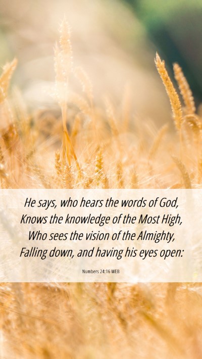 Picture 06 - Numbers 24:16 WEB Mobile Phone Wallpaper - He says, who hears the words of God, Knows the - Mobile Bible Verse Wallpaper