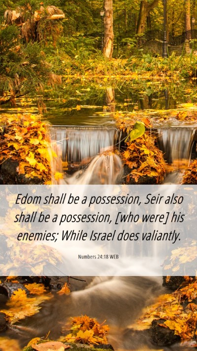 Picture 06 - Numbers 24:18 WEB Mobile Phone Wallpaper - Edom shall be a possession, Seir also shall be a - Mobile Bible Verse Wallpaper