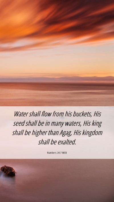 Picture 06 - Numbers 24:7 WEB Mobile Phone Wallpaper - Water shall flow from his buckets, His seed shall - Mobile Bible Verse Wallpaper