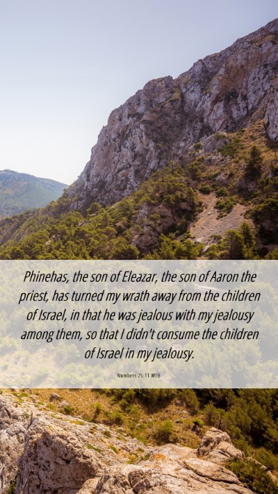 Picture 06 - Numbers 25:11 WEB Mobile Phone Wallpaper - Phinehas, the son of Eleazar, the son of Aaron - Mobile Bible Verse Wallpaper