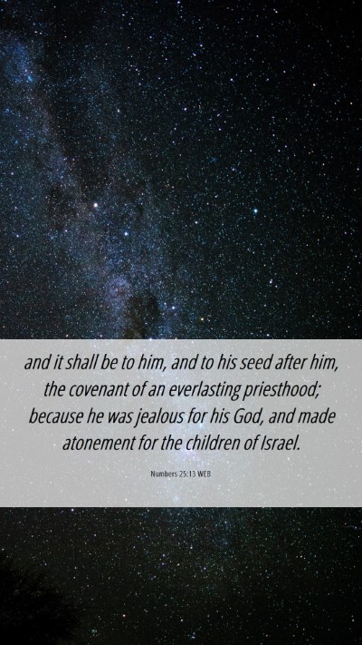 Picture 06 - Numbers 25:13 WEB Mobile Phone Wallpaper - and it shall be to him, and to his seed after - Mobile Bible Verse Wallpaper
