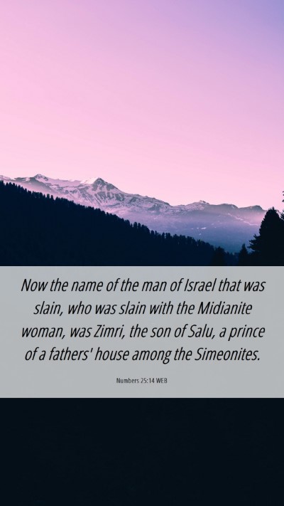Picture 06 - Numbers 25:14 WEB Mobile Phone Wallpaper - Now the name of the man of Israel that was slain, - Mobile Bible Verse Wallpaper