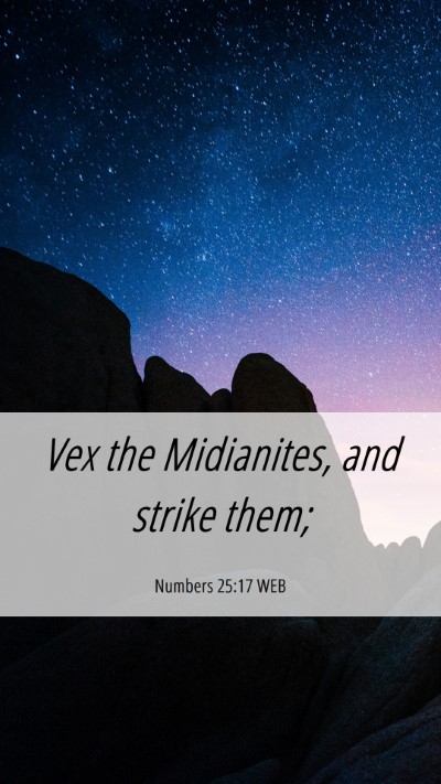 Picture 06 - Numbers 25:17 WEB Mobile Phone Wallpaper - Vex the Midianites, and strike - Mobile Bible Verse Wallpaper