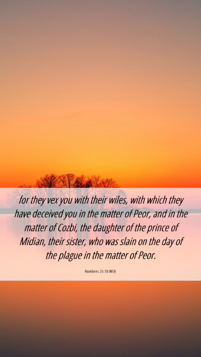 Picture 06 - Numbers 25:18 WEB Mobile Phone Wallpaper - for they vex you with their wiles, with which - Mobile Bible Verse Wallpaper