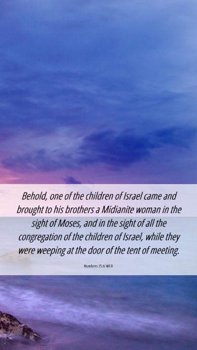 Picture 06 - Numbers 25:6 WEB Mobile Phone Wallpaper - Behold, one of the children of Israel came and - Mobile Bible Verse Wallpaper