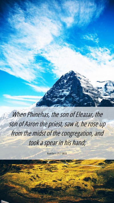 Picture 06 - Numbers 25:7 WEB Mobile Phone Wallpaper - When Phinehas, the son of Eleazar, the son of - Mobile Bible Verse Wallpaper