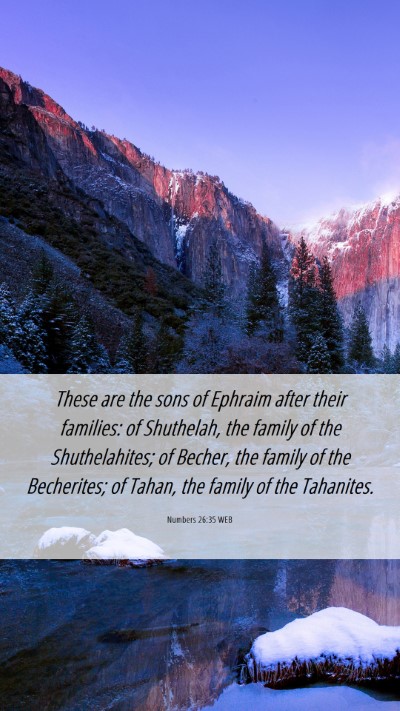 Picture 06 - Numbers 26:35 WEB Mobile Phone Wallpaper - These are the sons of Ephraim after their - Mobile Bible Verse Wallpaper