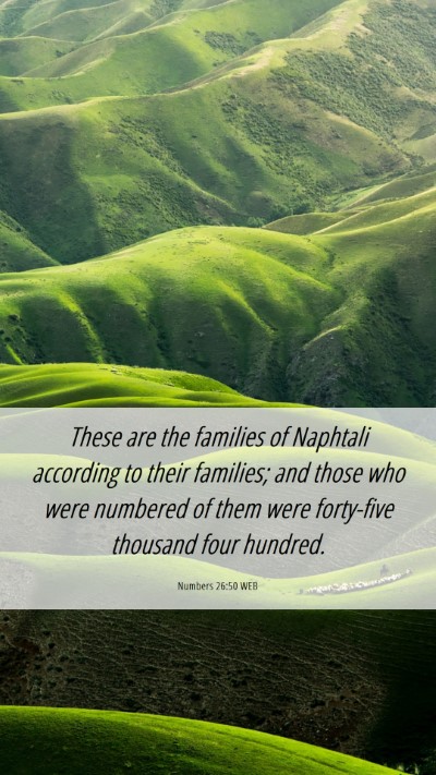 Picture 06 - Numbers 26:50 WEB Mobile Phone Wallpaper - These are the families of Naphtali according to - Mobile Bible Verse Wallpaper